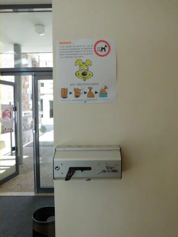 Déjections canines